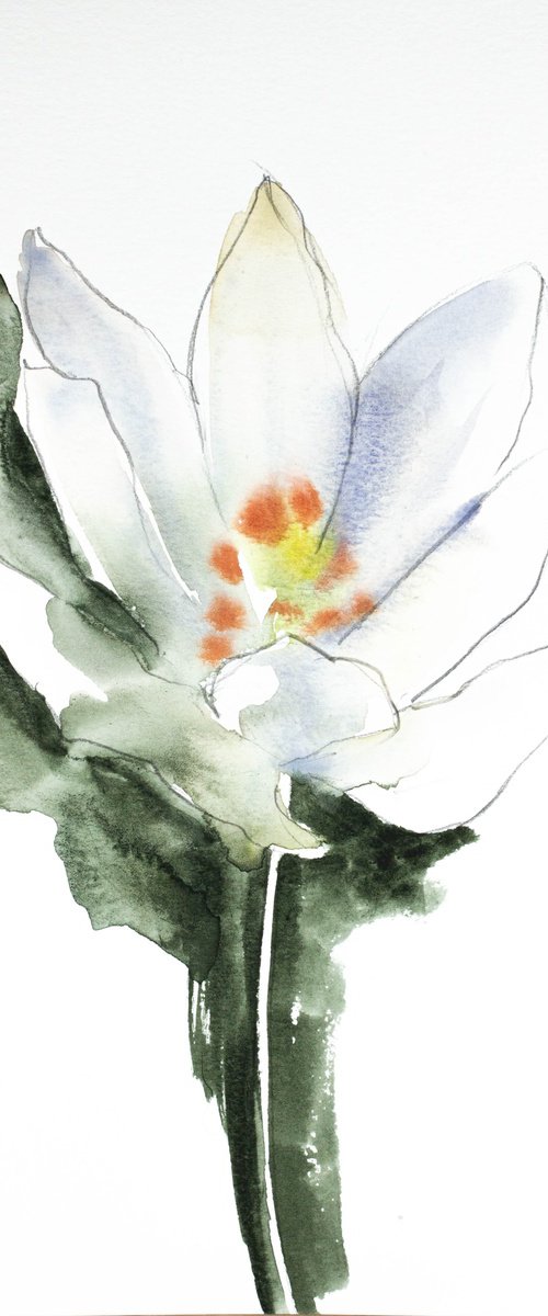 Bloodroot No. 3 by Elizabeth Becker