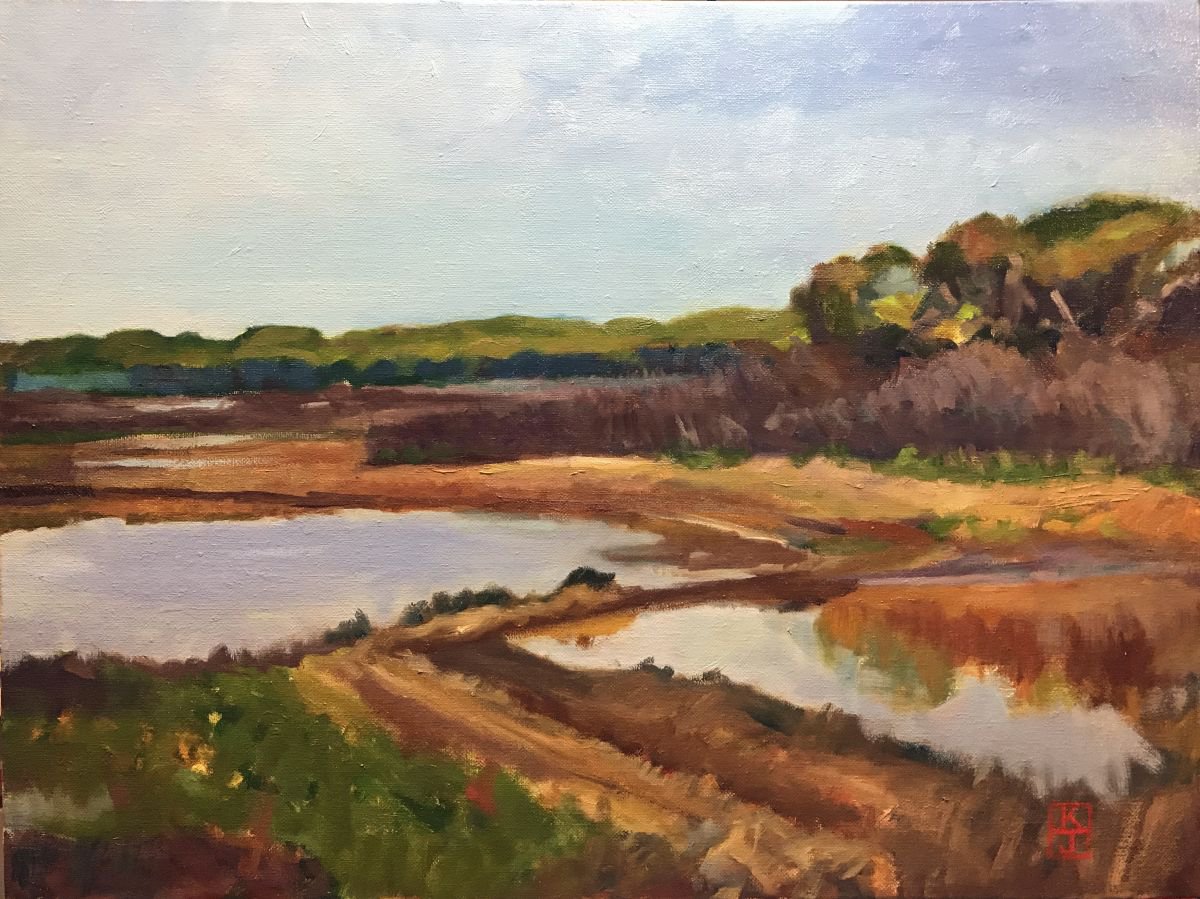 Connecticut Marshlands by Katherine Jennings