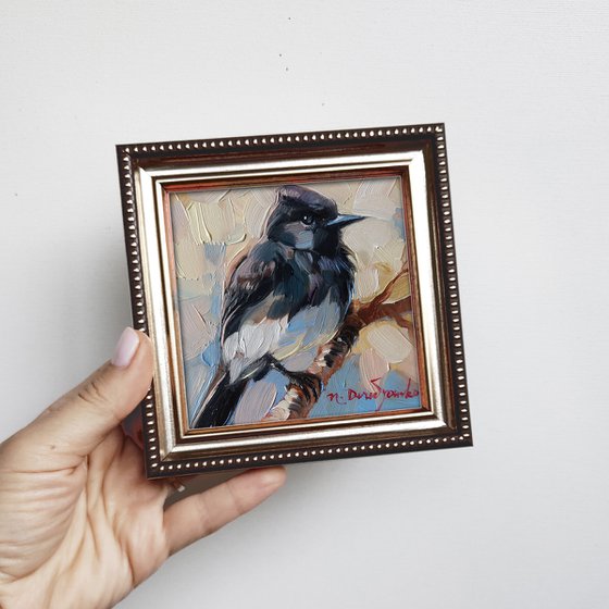 ORIGINAL mini oil painting Black Phoebe on branch bird wall art, Small bird art framed artwork shelf decor