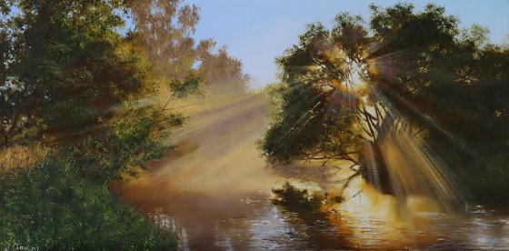 Sunlight Through Trees