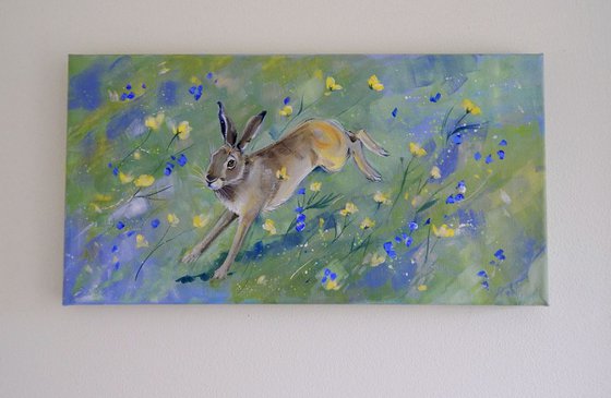 Hare in the Meadow