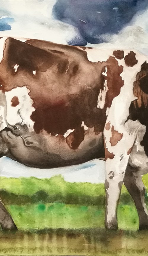 A Day in the Life of a Cow ( on paper ) Free Shipping by Steven Shaw
