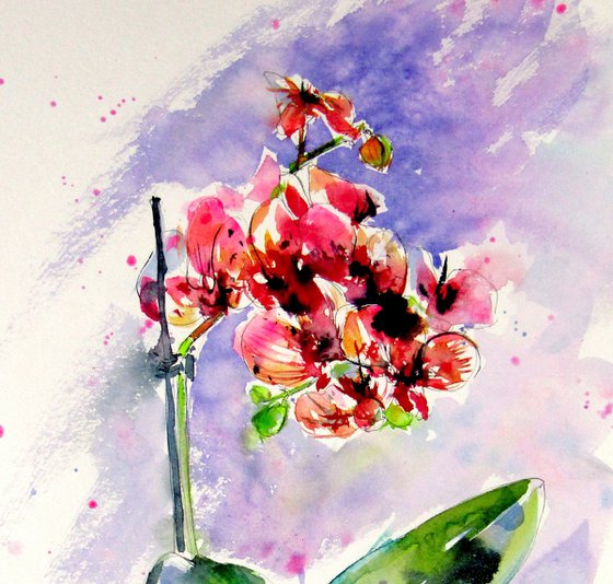 Still life with orchid