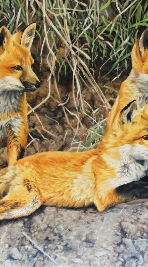 Patient Fox Cubs by Julian Wheat