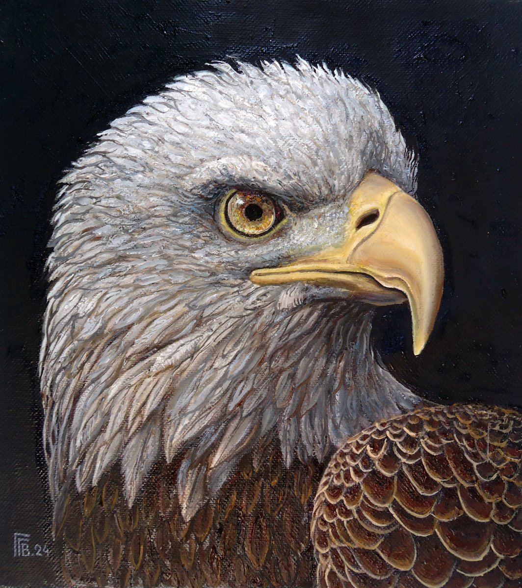 Photorealistic Animal Oil Painting By Grigor Velev, 9 X 10, Aerial Majesty, Original Artwork