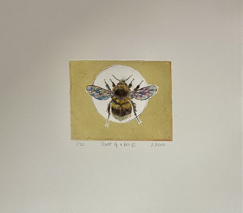 Ghost of a Bee VI (VE 1/20) by Anna Alcock