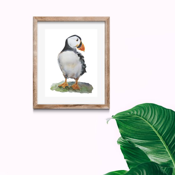 Puffin bird artwork, watercolor illustration