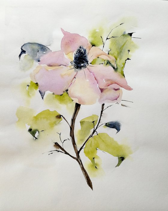 Magnolia painting. Blossoms painting