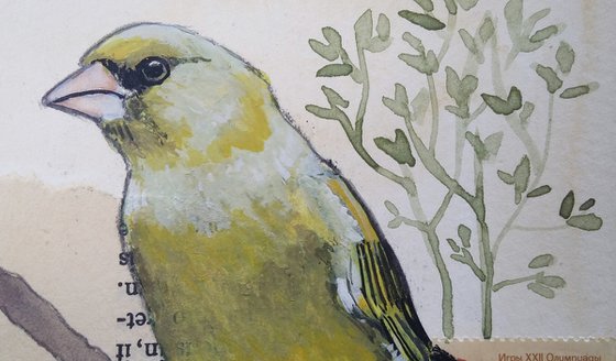 The Greenfinch feather  (framed and ready to hang)