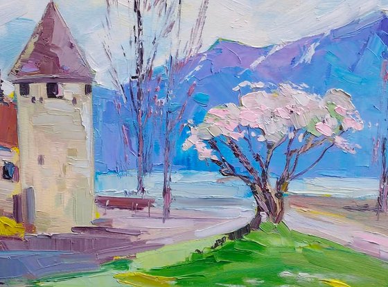 Spring in Vevey, Switzerland