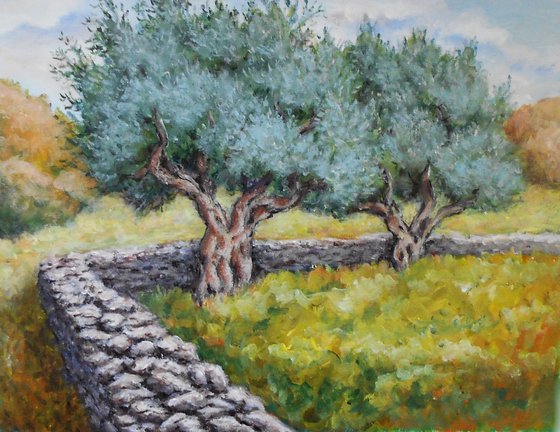 Olive trees