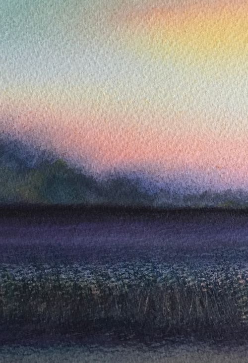 Dusk over woodland by Samantha Adams