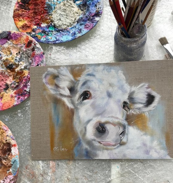 Luna - White cow original oil painting