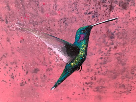 Flight Of The Hummingbird II
