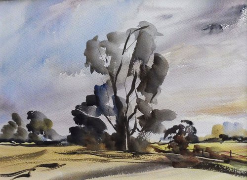 EARLY AUTUMN LANDSCAPE WORCESTERSHIRE No.2. by Tim Taylor