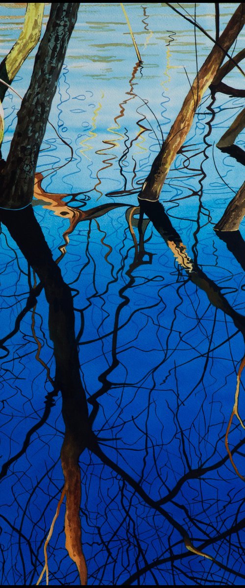 Tree Reflections by John Kerr