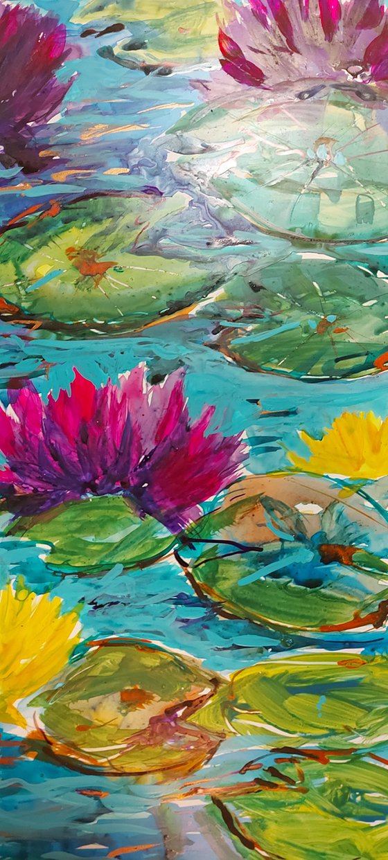 Yellow and pink water lilies