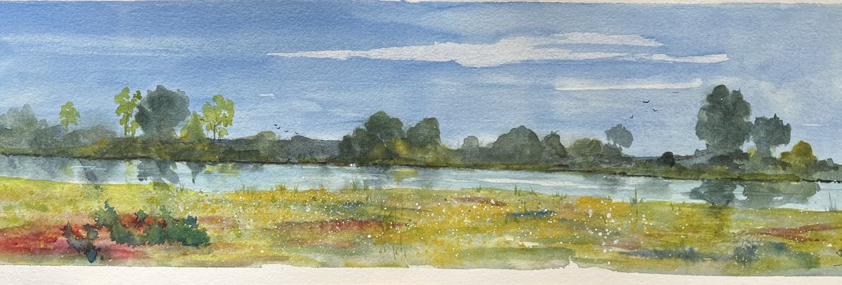 Impressionistic Watercolour , Meadow In The Norfolk Fens By Brian Tucker, 25 X 8, Artwork For Sale On Artfinder