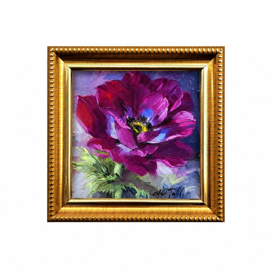 Purple anemone