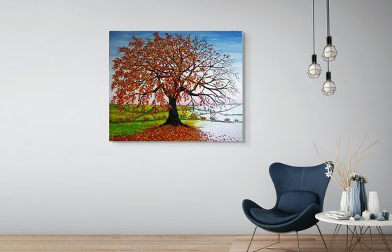 Oak tree in Autumn and Winter