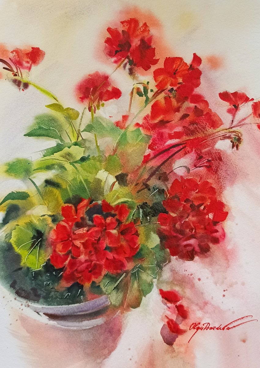 Red Geranium by Olga Drozdova