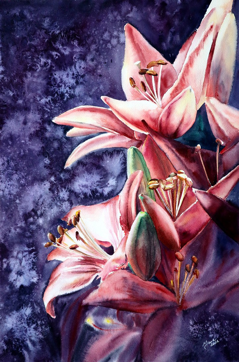 ORIGINAL Lily Flowers in Watercolor - Botanical Art - Floral Painting by Yana Shvets