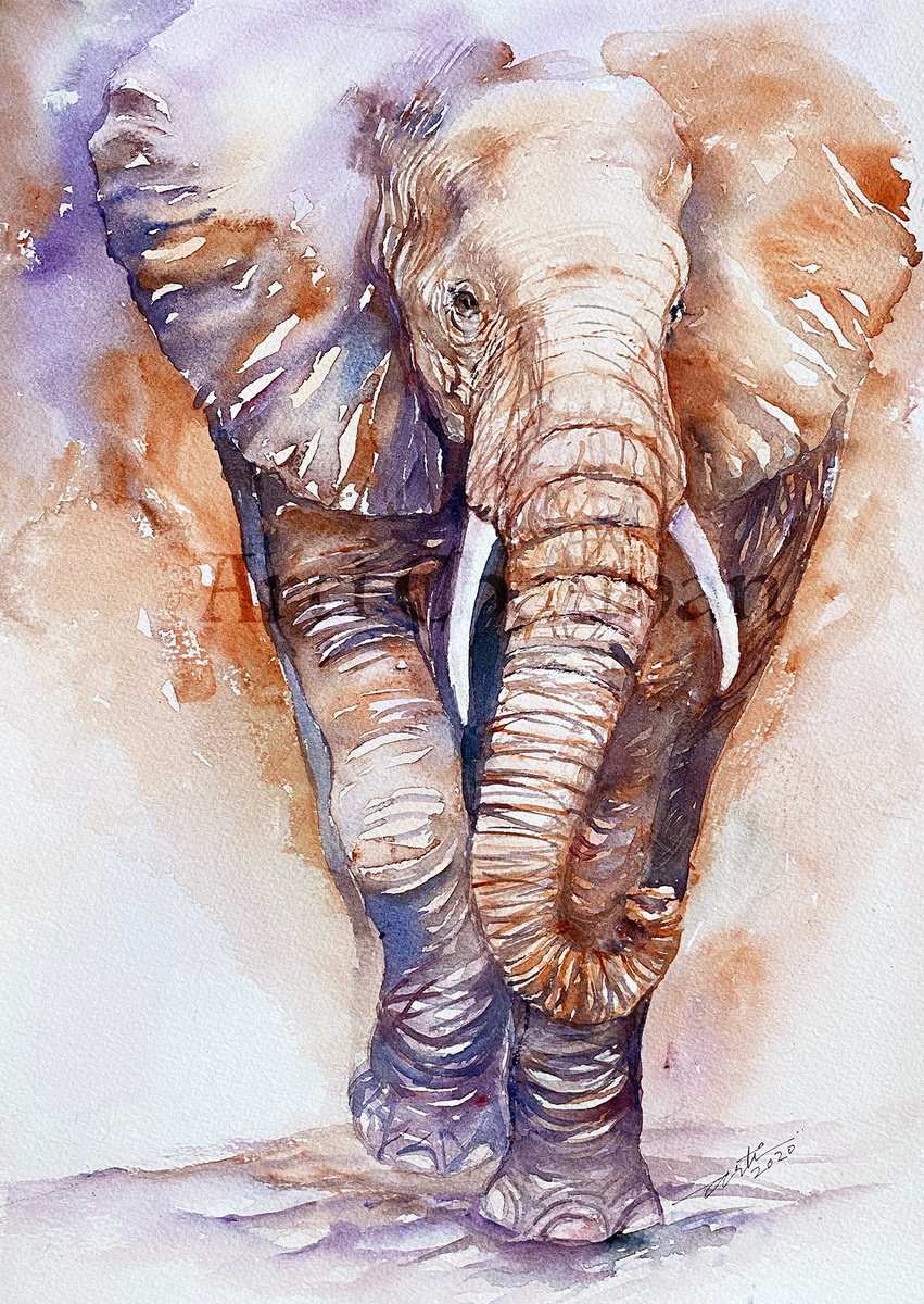 Impressionistic Watercolour , Elephant Elon By Arti Chauhan, 10 X 14, Artwork For Sale On Artfinder