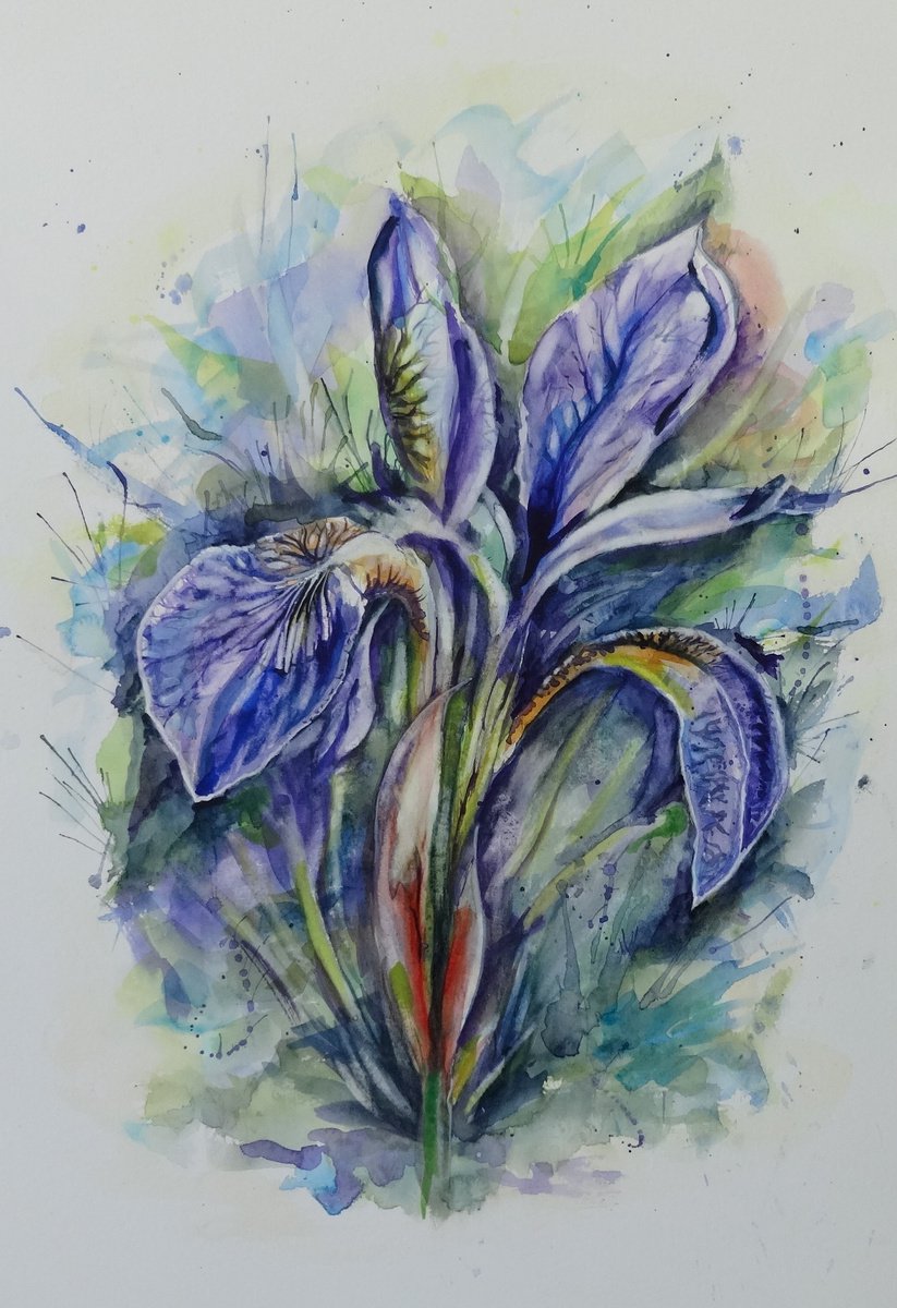 Impressionistic Botanical Watercolour By Mel Davies Original Art, 17 X 24", Iris, Original Artwork