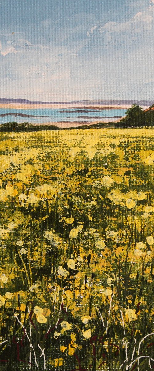 Daffodils on the Isles of Scilly by Valerie Jobes