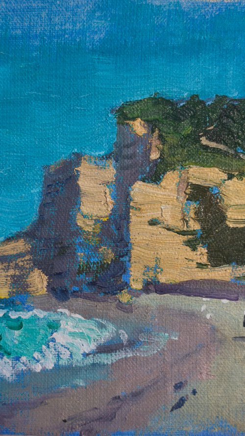 Normandy Etretat Etude 5 by Alexander Shandor