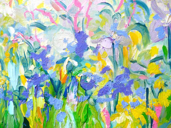 Wild Irises 2024