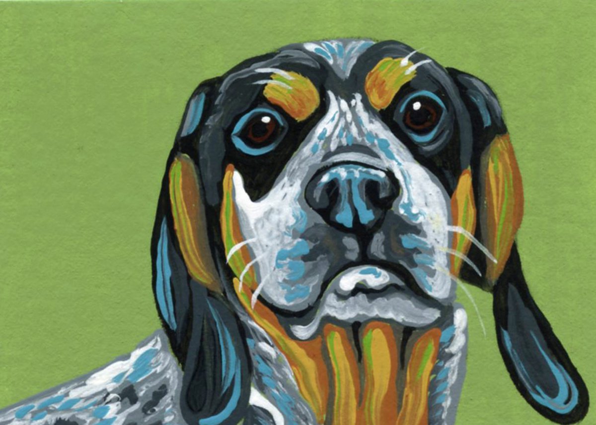 ACEO ATC Original Miniature Painting Colorful Blue Tick Coonhound Pet Dog Art-Carla Smale by carla smale