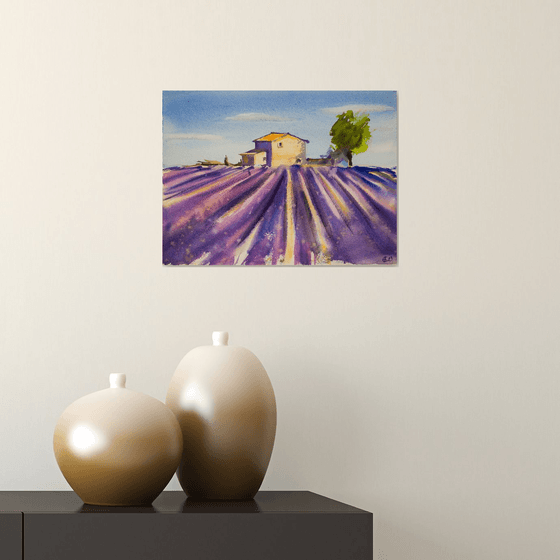 Lavender field in Provence. Medium watercolor pastel drawing bright colors France