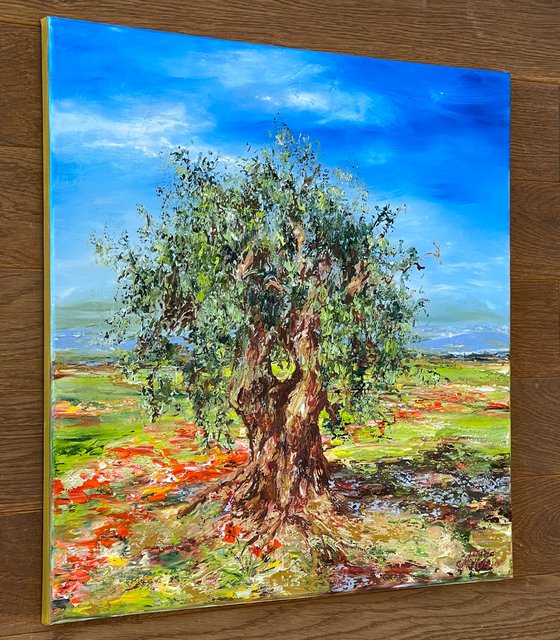 Olive Tree