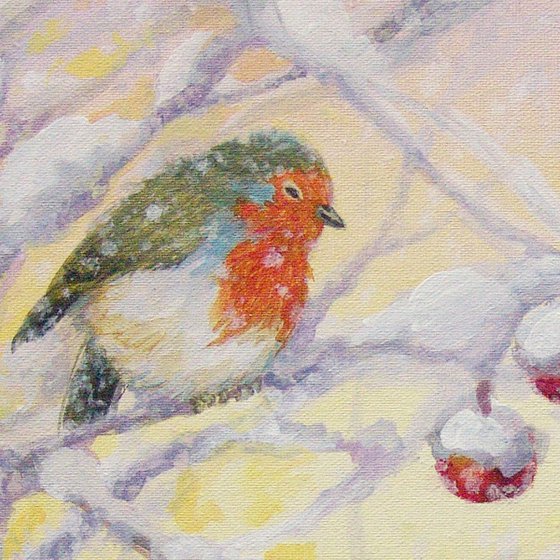 Winter robin