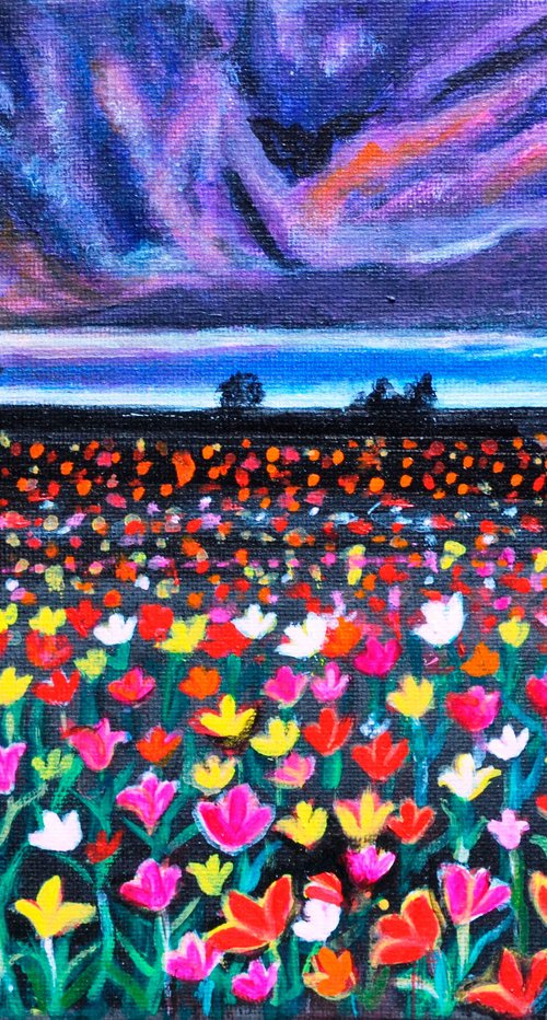 Floral fields Tulips at sunset by Manjiri Kanvinde