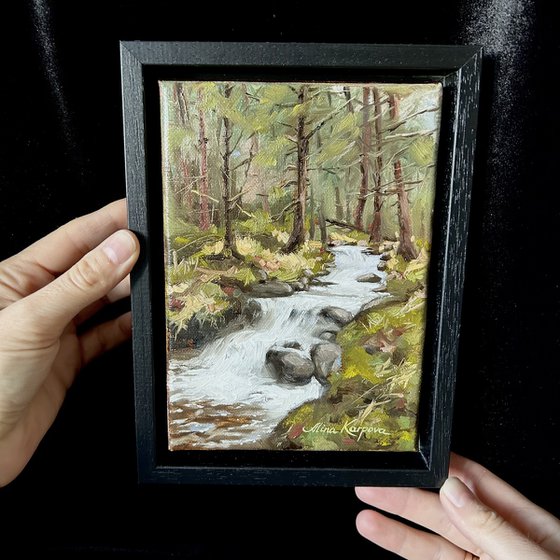 Forest falls