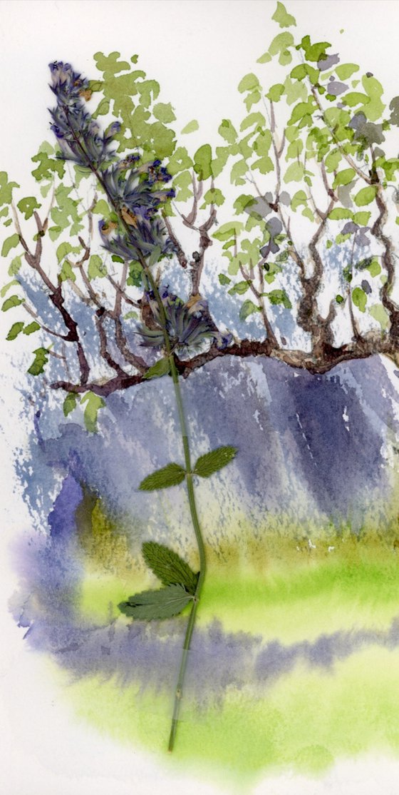 Landscape with apple tree and flower of lavender.