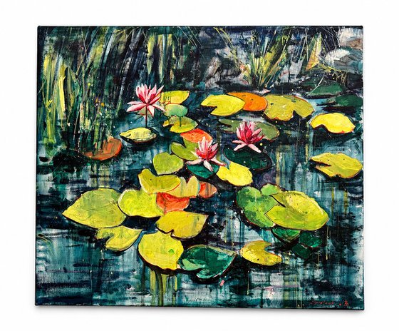 Lily Pond
