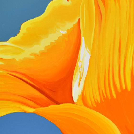 Californian Poppy and Pacific Wind #3