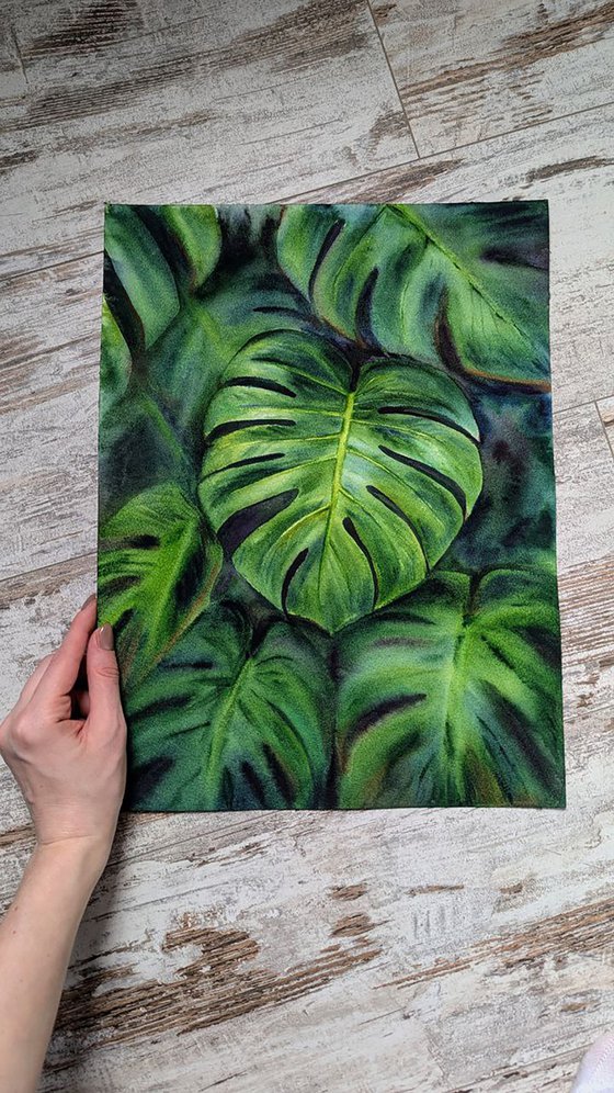 Monstera
