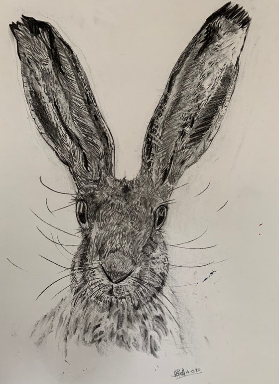 The Cheeky Hare