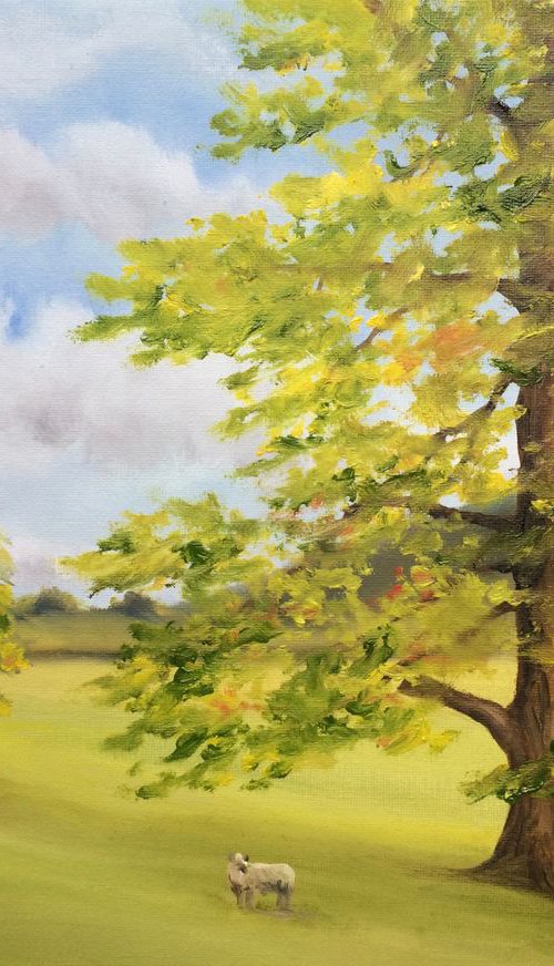 Ancient pasture by Silvie Wright