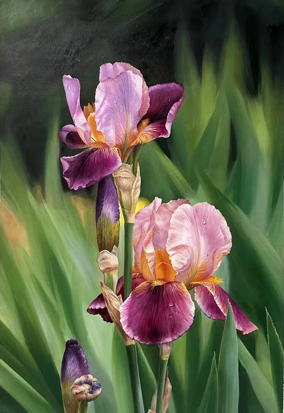 Realism oil painting:flowers c155