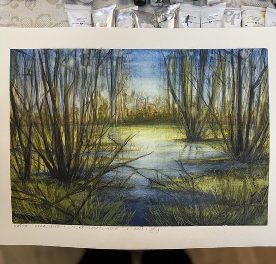 Swamp in Anykščiai (Lithuania)