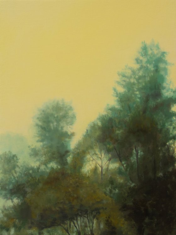 Ecos of Tarkovsky VI