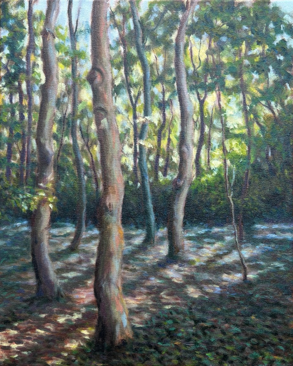 Impressionistic Landscape Oil Painting By Ashley Baldwin-Smith, 16 X 20, Wandlebury Wood, Original Artwork