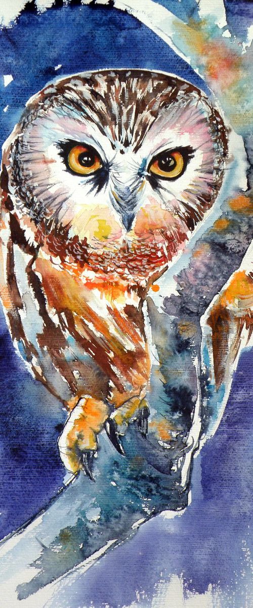 Owl at night by Kovács Anna Brigitta