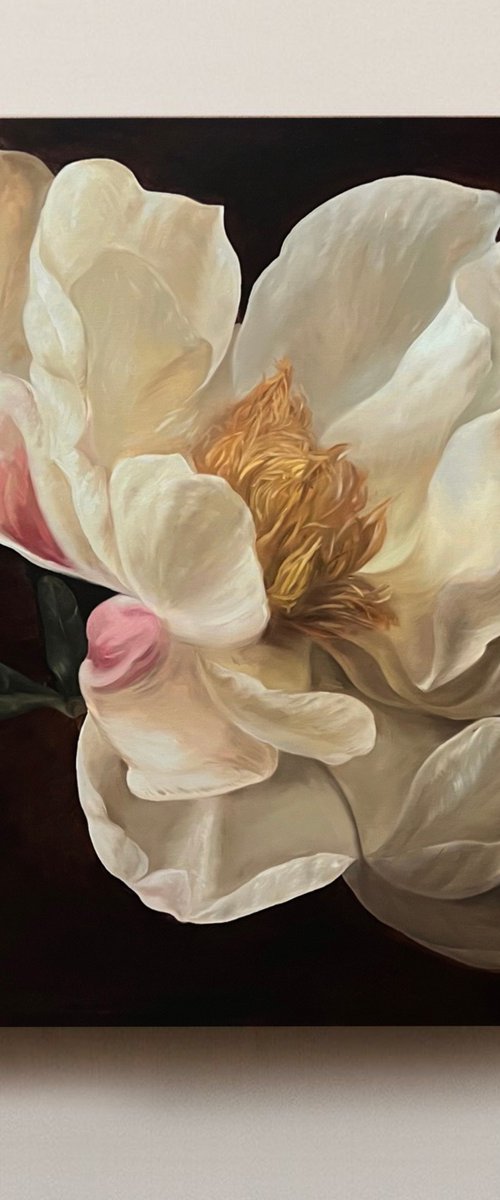 Old Holland flower 5 by Rosi Roys