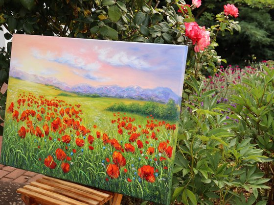 Poppy field in summer 4